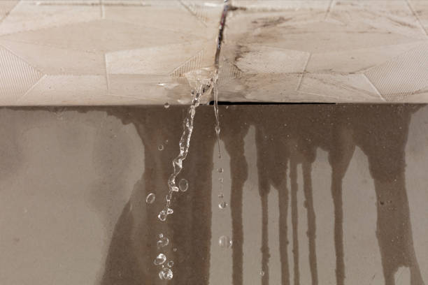 Professional Water Damage Inspection technician working in Jbsa Randolph, TX